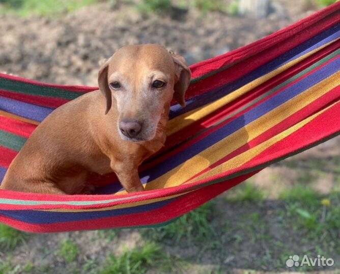 Гамак туристический