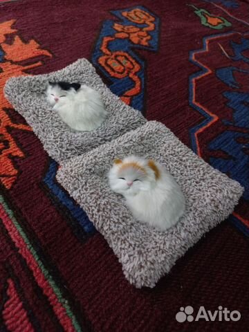Котики на подушке