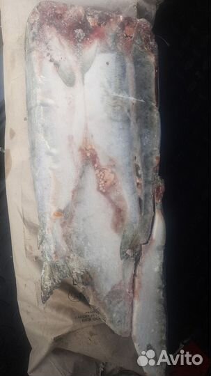 Свежемороженая горбуша от 22кг