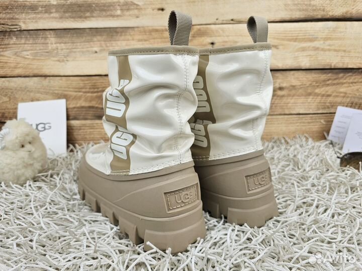 Сапоги UGG Brellah New Must Seed женские оригинал