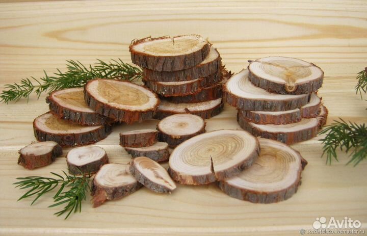 Стволы и спилы можжевельника