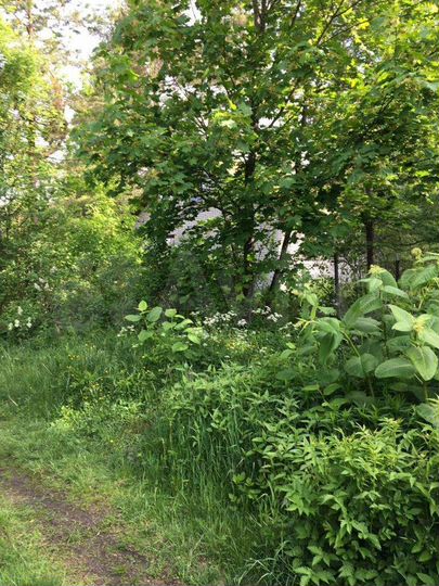 Участок 12 сот. (ИЖС)