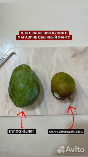 Настоящий Египетский манго