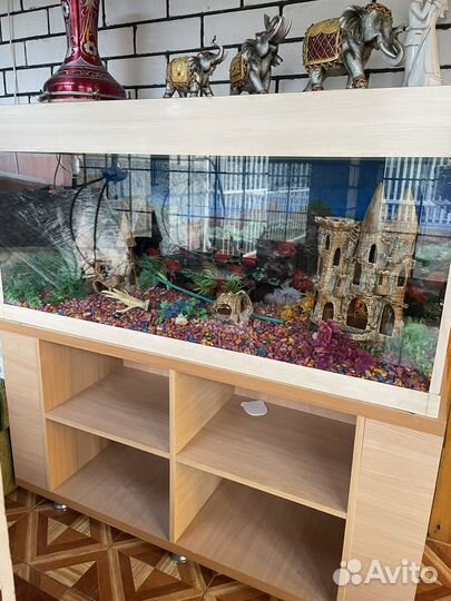 Торг уместен