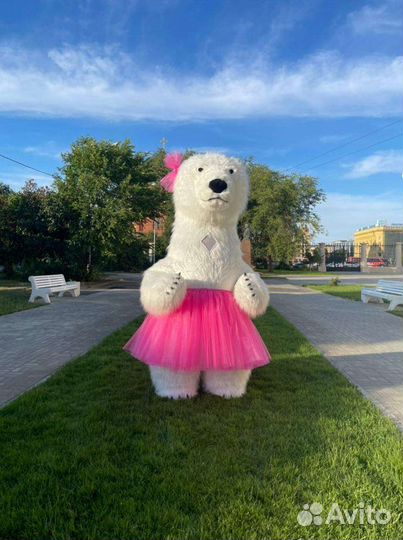 Поздравление от большого белого медведя Фили