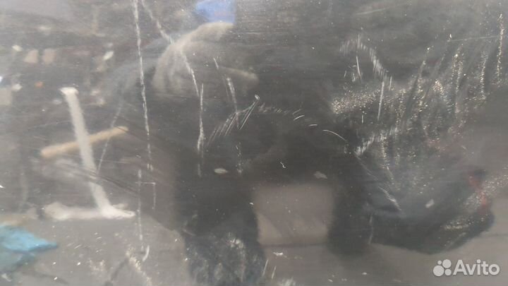 Дверь боковая левая передняя Volvo V50, 2011