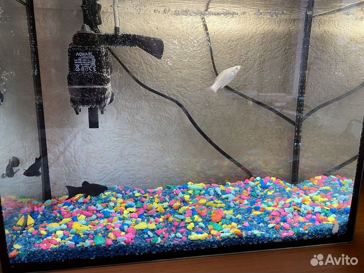 Аквариум