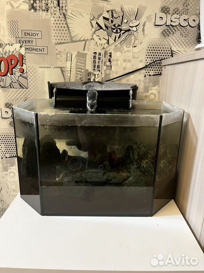 Аквариум с фильтром и светом