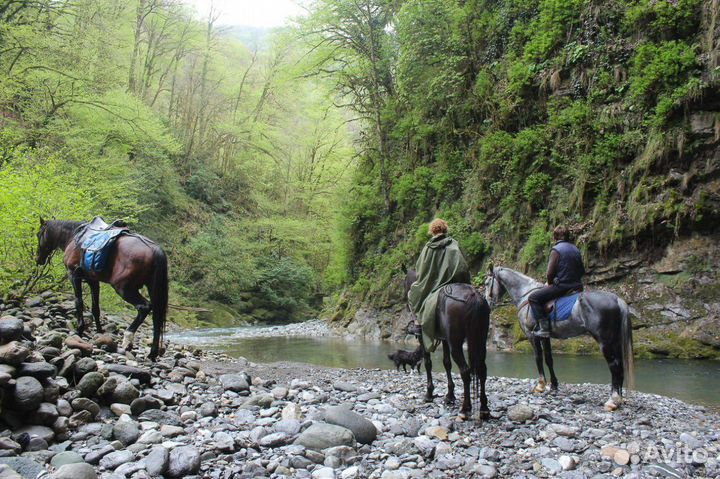 Конные прогулки