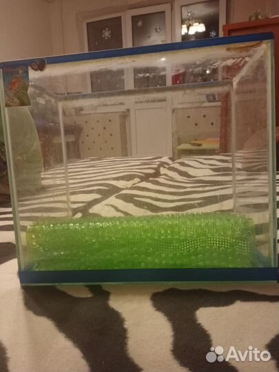 Аквариум