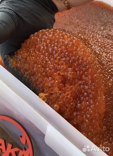 Красная икра Камчатская с Доставкой на дом