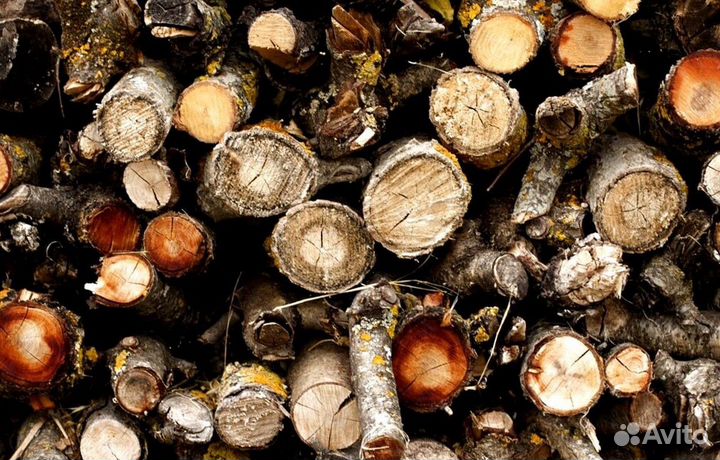 Дрова Береза