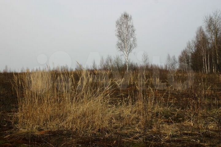 Участок 8,16 га (СНТ, ДНП)