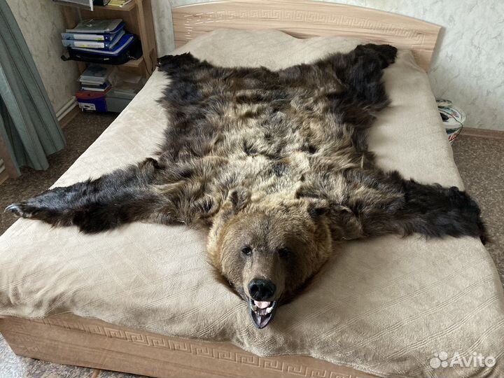 Шкура медведя имитация