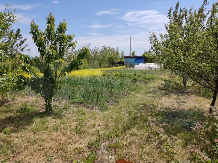 Дача 20 м² на участке 8 сот.