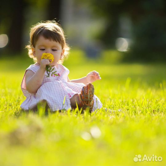 Новый частный экосад на лоне природы RelaxKids