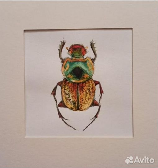 Картина акварель жуки