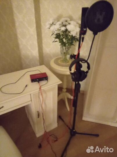 Focusrite scarlett 2i2 со стойкой и поп фльтром