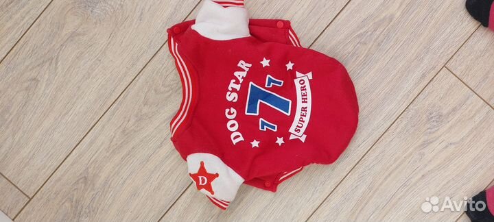 Одежда на маленькую собаку