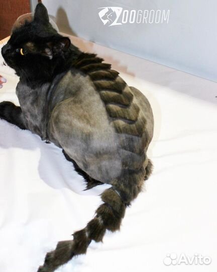 Стрижка кошек, котов и собак грумер