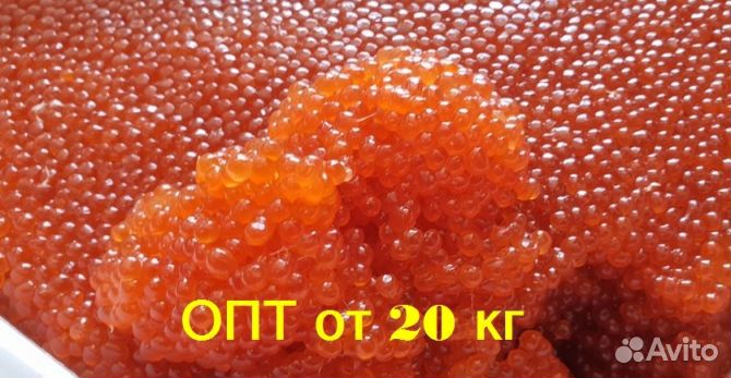 Ппоставки икры оптом