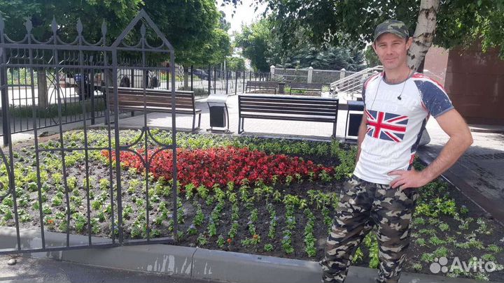 Услуги по озеленению