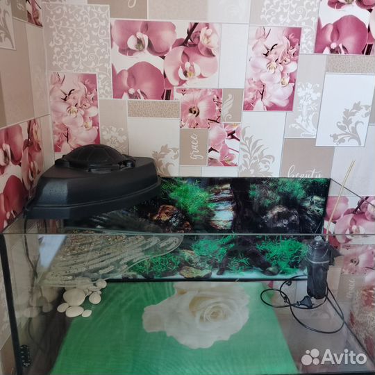 Аквариум