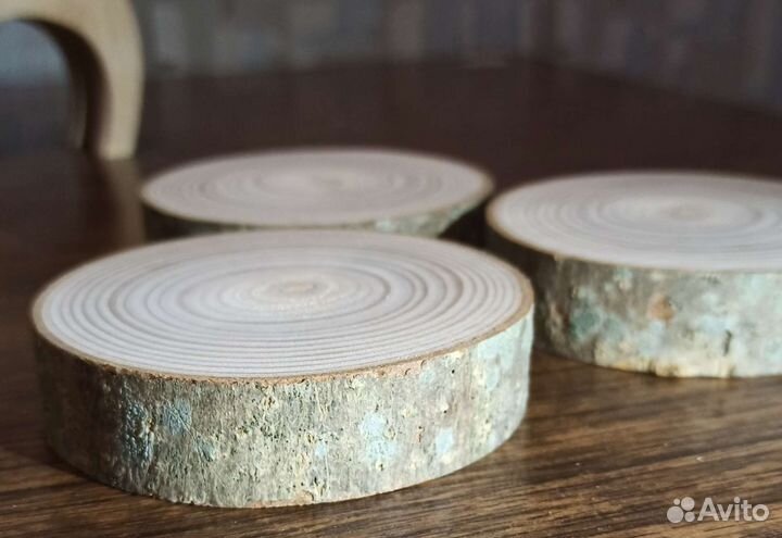 Спилы дерева для декора