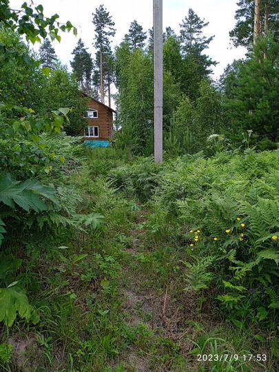 Участок 10 сот. (ИЖС)