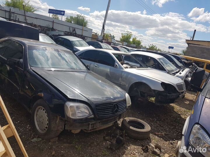 Коллектор грейт волл deer