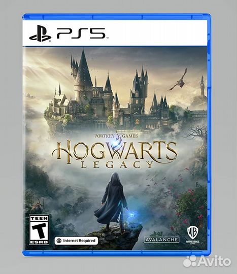 Hogwarts Legacy PS5 Version