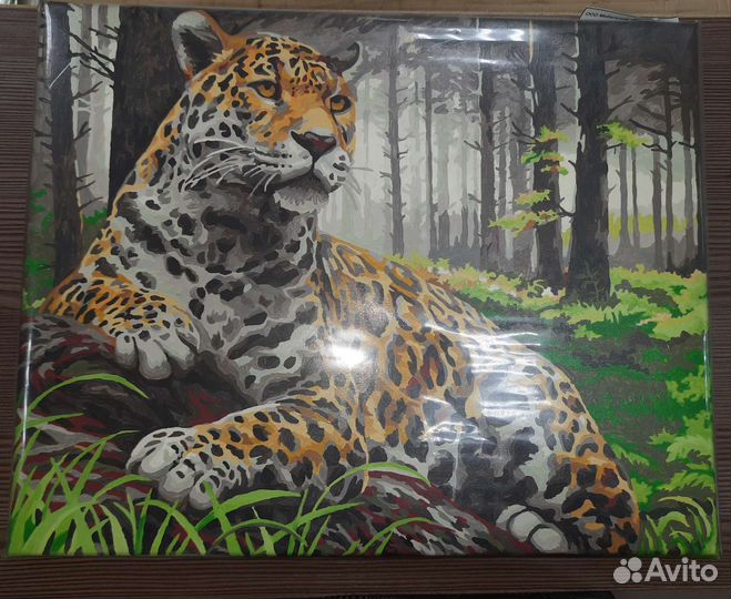 Картины по номерам раскрашенная