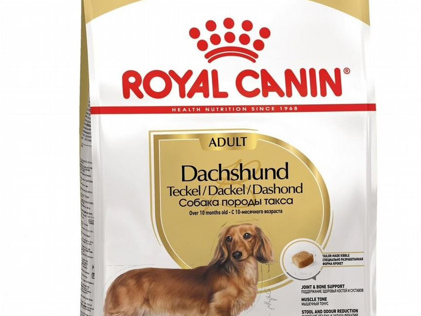 Корм Royal Canin для взрослой таксы с 10 месяцев