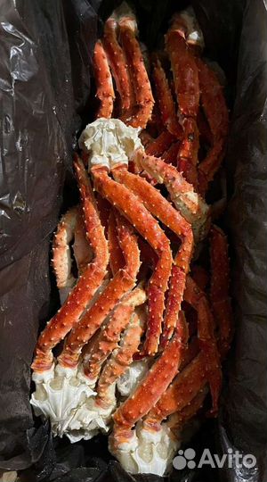 Краб камчатский клешни L4-L5