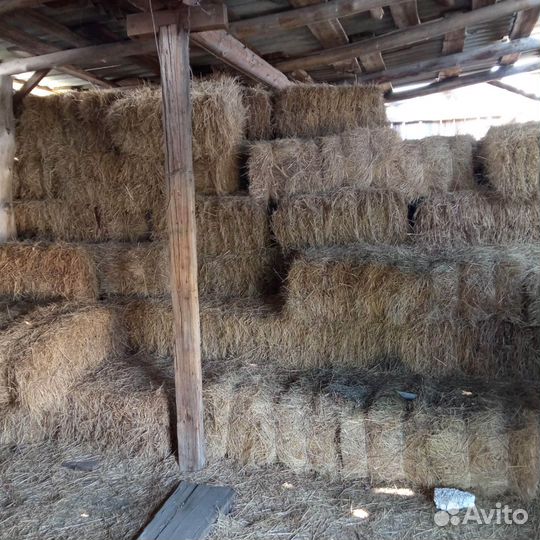 Сено в тюках
