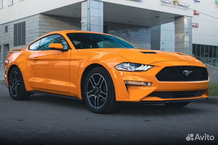 Ford Mustang 2.3 МТ, 2019, 50 960 км
