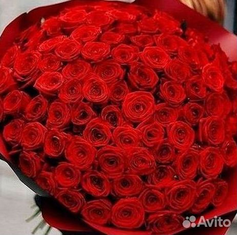 51 Роза, Букеты Цветы Розы 25 101 501 1001