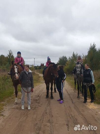 Конные прогулки