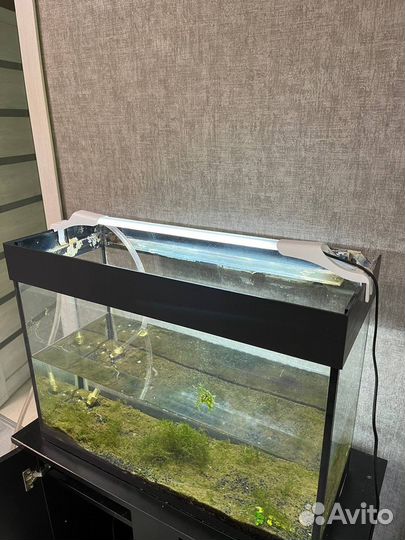 Аквариум 80 л