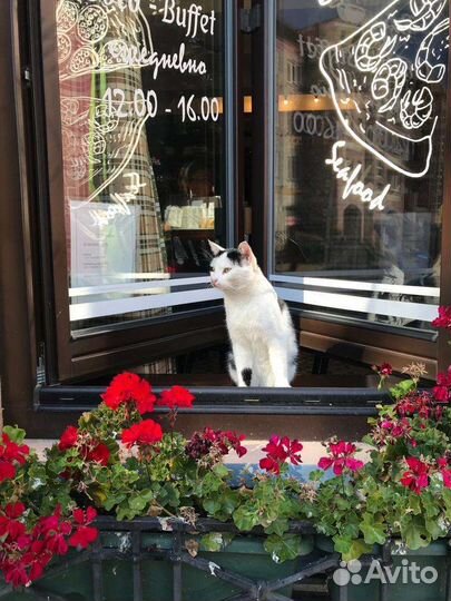 Экспедиция Калининградский Калейдоскоп.самоелучшее