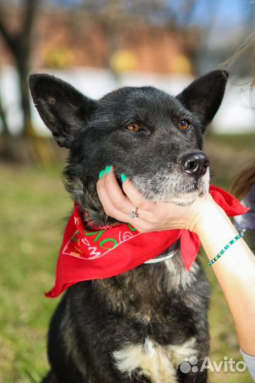 Старушка Наоми из приюта