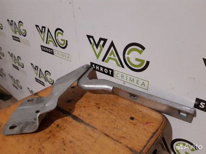 Петля капота правая Volkswagen Jetta MK6 (163)