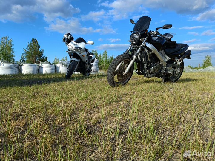 Custom Honda Bros