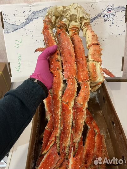 Краб камчатский 3L