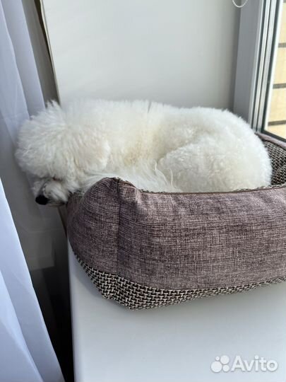 Лежанка для собак