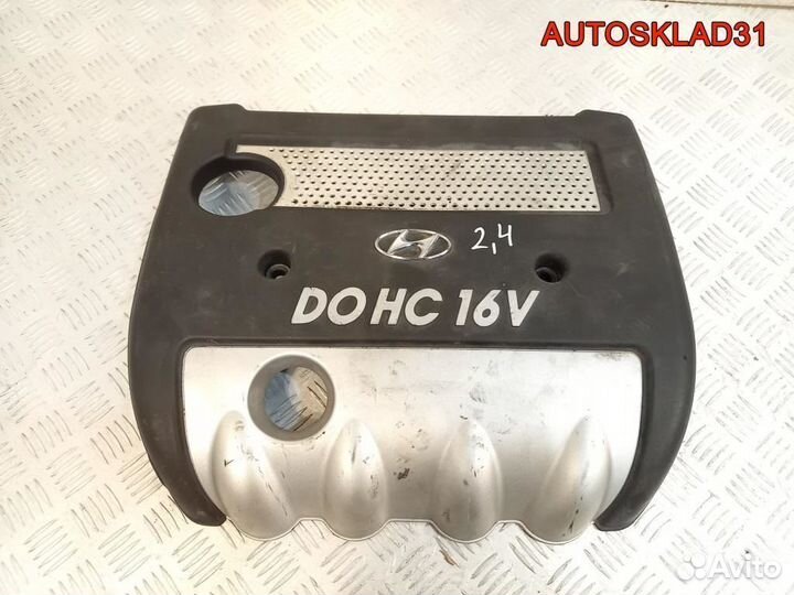 Накладка декоративная Hyundai Sonata NF 2924025020