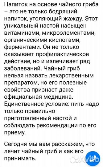 Гриб чайный