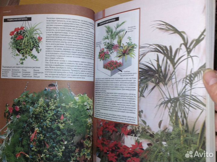 Книга о комн.растениях (Садовая