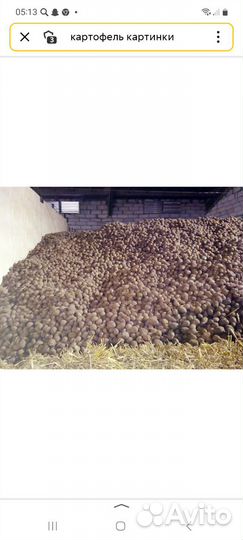 Картофель