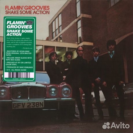 THE flamin' groovies - Shake Some Action (LP)